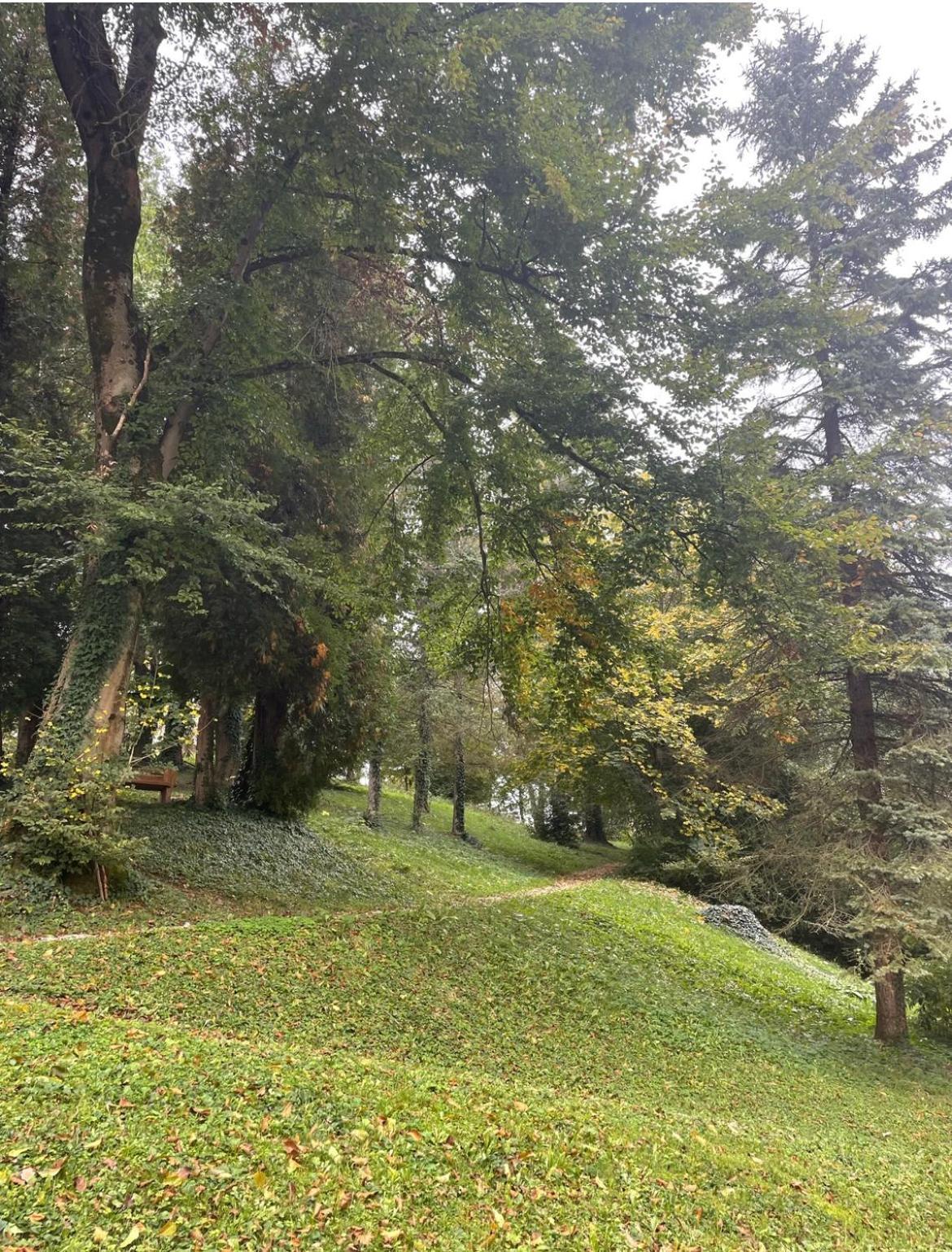 Vilapark 14 *